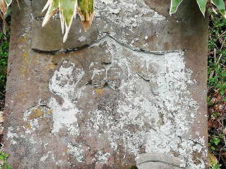 画像に含まれている可能性があるもの:木、屋外